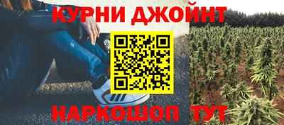 прущие крисы Гусиноозёрск