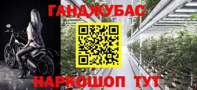 прущие крисы Гусиноозёрск