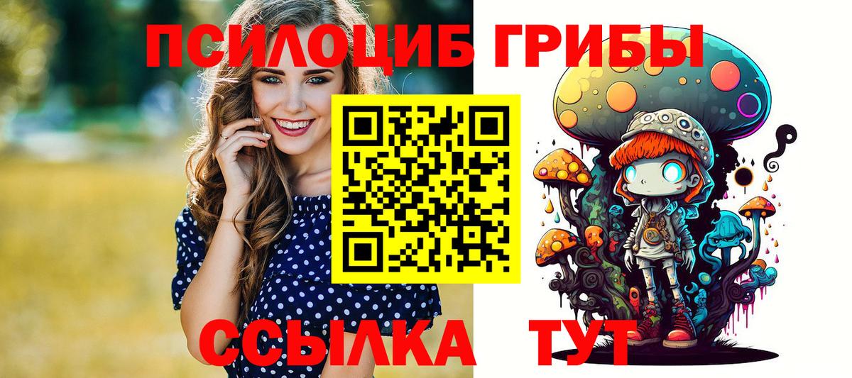 Галлюциногенные грибы прущие грибы  Вход с VPN  Нижний Тагил  Галлюциногенные грибы Psilocybine cubensis 