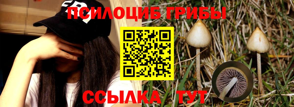 Галлюциногенные грибы ЛСД Нижний Тагил
